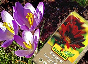 Blumenerde ohne Torf