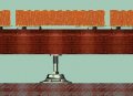 Holz-Terrassen-Montage