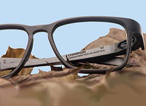 Holz-Brille