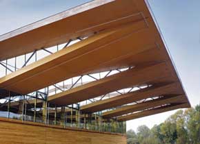 Dachelemente aus Holz