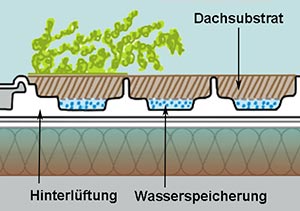 Gründach Aufbau