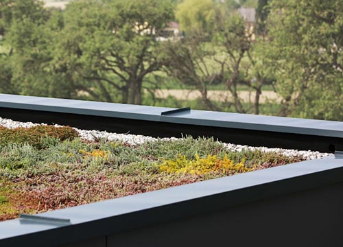 Gründach - einen Rasen auf dem Dach anlegen