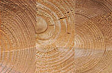 Brettschichtholz Leimbinder